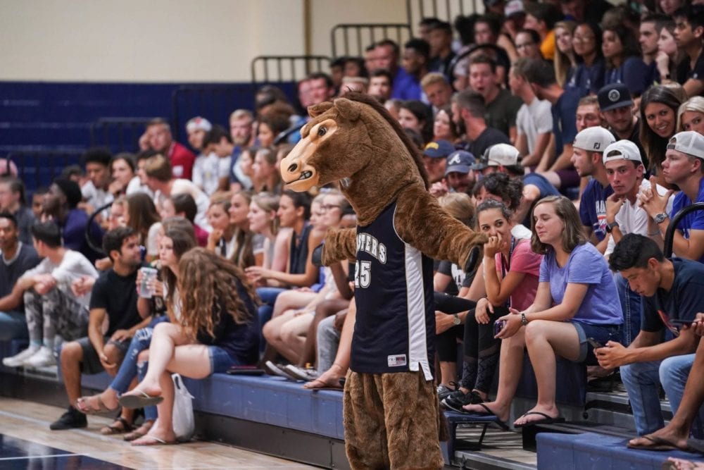 TMUVB 8-25-18-07876 (1)