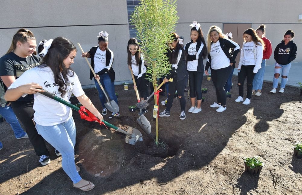 120118_GV_Memorial_Tree_DW_01