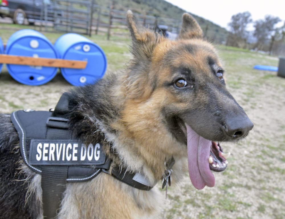 A Difference Between Service And Support Santa Clarita