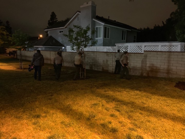 Deputies maintained a perimeter around the bear.